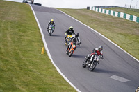 Lower Group White Bikes